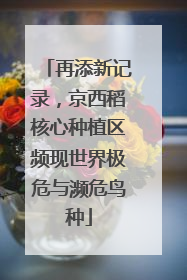 再添新记录，京西稻核心种植区频现世界极危与濒危鸟种