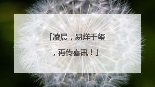 凌晨，易烊千玺，再传喜讯！