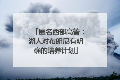 匿名西部高管：湖人对布朗尼有明确的培养计划