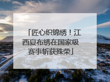 匠心织锦绣！江西夏布绣在国家级赛事斩获殊荣