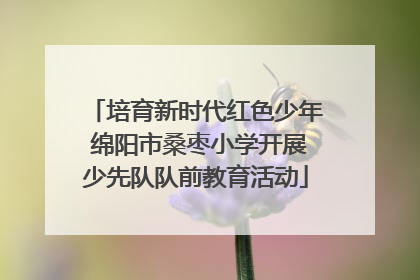 培育新时代红色少年 绵阳市桑枣小学开展少先队队前教育活动