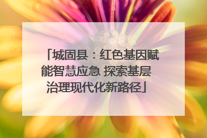 城固县：红色基因赋能智慧应急 探索基层治理现代化新路径