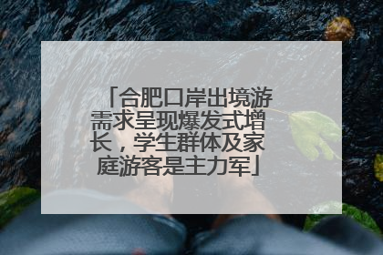 合肥口岸出境游需求呈现爆发式增长，学生群体及家庭游客是主力军