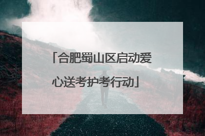 合肥蜀山区启动爱心送考护考行动