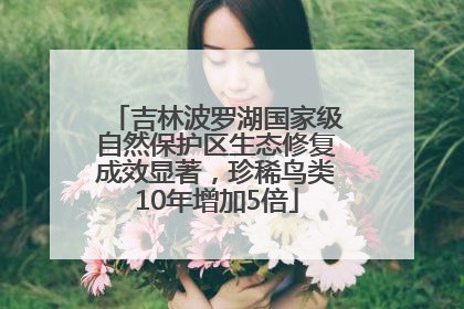 吉林波罗湖国家级自然保护区生态修复成效显著，珍稀鸟类10年增加5倍