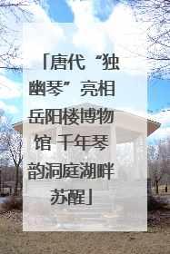 唐代“独幽琴”亮相岳阳楼博物馆 千年琴韵洞庭湖畔苏醒