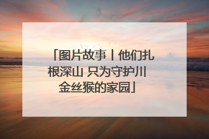 图片故事丨他们扎根深山 只为守护川金丝猴的家园