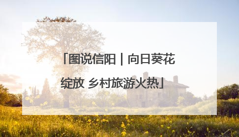 图说信阳｜向日葵花绽放 乡村旅游火热