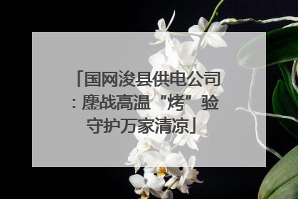 国网浚县供电公司：鏖战高温“烤”验 守护万家清凉