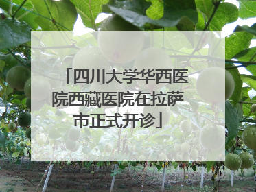 四川大学华西医院西藏医院在拉萨市正式开诊
