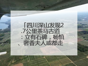 四川深山发现2.7公里茶马古道：立有石碑，杨慎、奢香夫人或都走过这条路