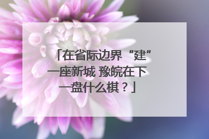 在省际边界“建”一座新城 豫皖在下一盘什么棋？
