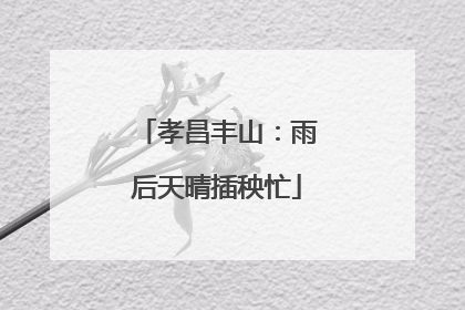 孝昌丰山：雨后天晴插秧忙