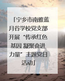 宁乡市南雅蓝月谷学校党支部开展“传承红色基因 凝聚奋进力量”主题党日活动