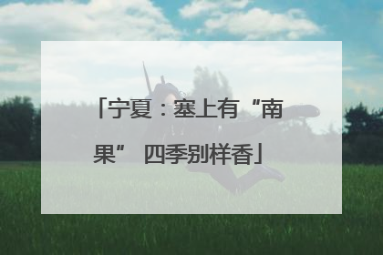 宁夏：塞上有“南果” 四季别样香