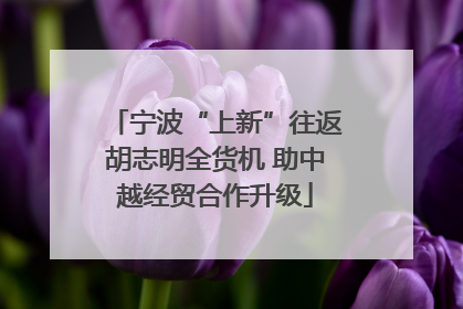 宁波“上新”往返胡志明全货机 助中越经贸合作升级