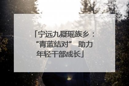 宁远九疑瑶族乡：“青蓝结对” 助力年轻干部成长