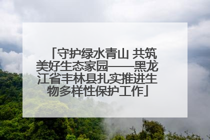 守护绿水青山 共筑美好生态家园——黑龙江省丰林县扎实推进生物多样性保护工作