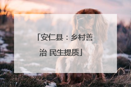 安仁县：乡村善治 民生提质