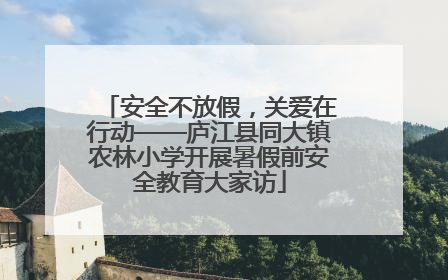 安全不放假，关爱在行动——庐江县同大镇农林小学开展暑假前安全教育大家访
