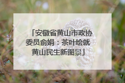 安徽省黄山市政协委员俞娟：茶叶绘就黄山民生新图景