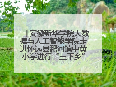 安徽新华学院大数据与人工智能学院走进怀远县淝河镇中黄小学进行“三下乡”支教活动