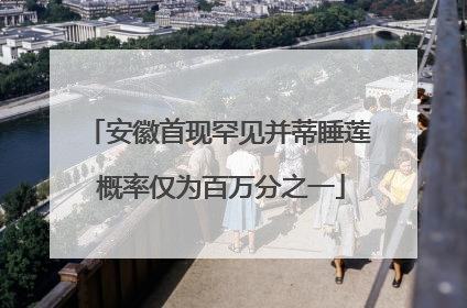 安徽首现罕见并蒂睡莲 概率仅为百万分之一