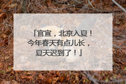 官宣，北京入夏！今年春天有点儿长，夏天迟到了！