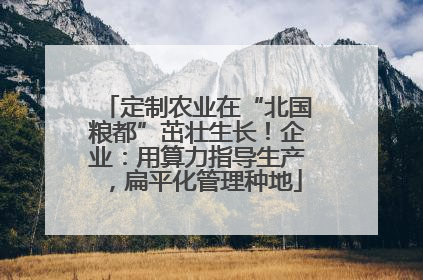 定制农业在“北国粮都”茁壮生长！企业：用算力指导生产，扁平化管理种地