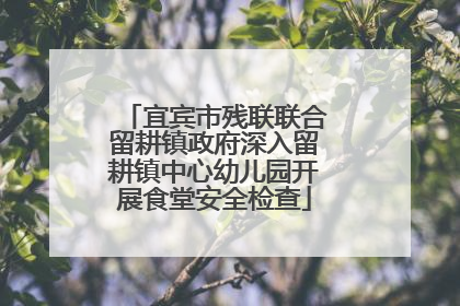 宜宾市残联联合留耕镇政府深入留耕镇中心幼儿园开展食堂安全检查