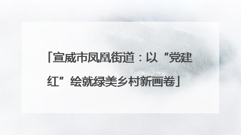宣威市凤凰街道：以“党建红”绘就绿美乡村新画卷