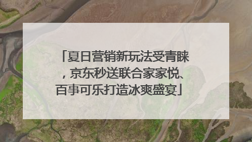 夏日营销新玩法受青睐，京东秒送联合家家悦、百事可乐打造冰爽盛宴