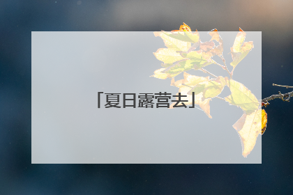 夏日露营去