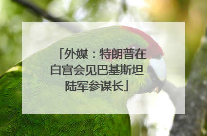 外媒：特朗普在白宫会见巴基斯坦陆军参谋长