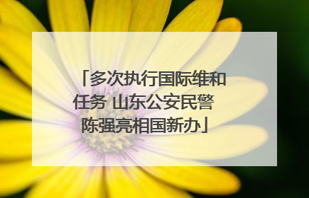 多次执行国际维和任务 山东公安民警陈强亮相国新办
