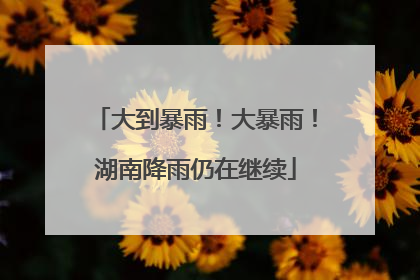 大到暴雨！大暴雨！湖南降雨仍在继续
