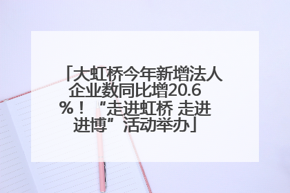 大虹桥今年新增法人企业数同比增20.6%！“走进虹桥 走进进博”活动举办