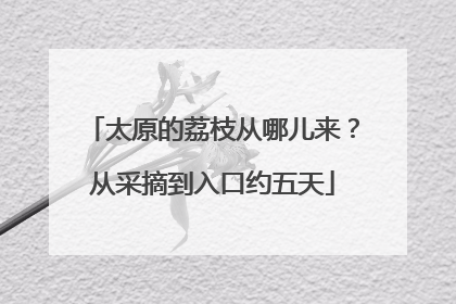 太原的荔枝从哪儿来？从采摘到入口约五天
