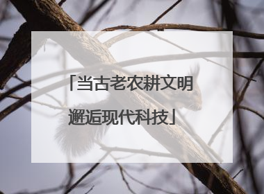 当古老农耕文明邂逅现代科技