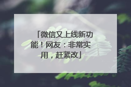 微信又上线新功能！网友：非常实用，赶紧改