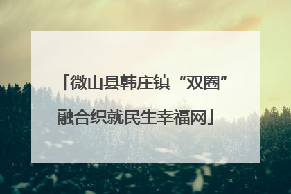 微山县韩庄镇“双圈”融合织就民生幸福网