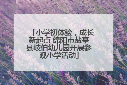 小学初体验，成长新起点 绵阳市盐亭县岐伯幼儿园开展参观小学活动