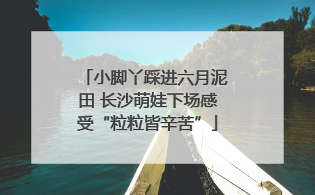 小脚丫踩进六月泥田 长沙萌娃下场感受“粒粒皆辛苦”