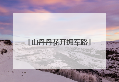 山丹丹花开拥军路