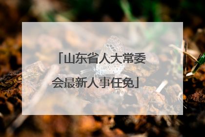 山东省人大常委会最新人事任免