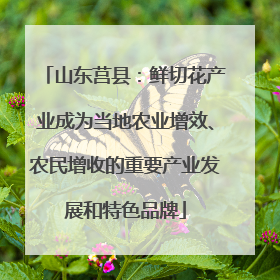 山东莒县：鲜切花产业成为当地农业增效、农民增收的重要产业发展和特色品牌