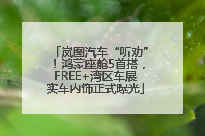 岚图汽车“听劝”！鸿蒙座舱5首搭，FREE+湾区车展实车内饰正式曝光