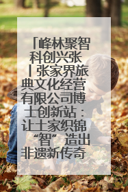 峰林聚智 科创兴张丨张家界旅典文化经营有限公司博士创新站：让土家织锦“智”造出非遗新传奇