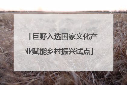 巨野入选国家文化产业赋能乡村振兴试点