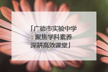 广德市实验中学：聚焦学科素养 深耕高效课堂